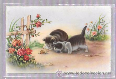 Postais: TARJETA POSTAL DE DOS GATITOS OBSERVANDO A UN CARACOL.