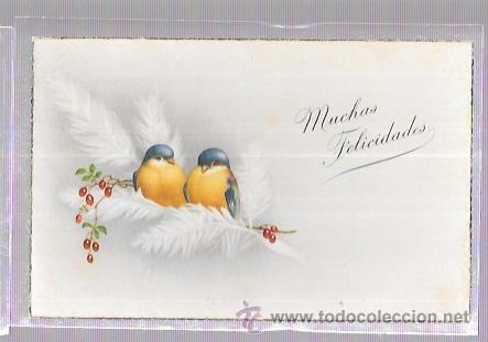 Postais: TARJETA POSTAL DE DOS PAJARITOS EN UNA RAMA.