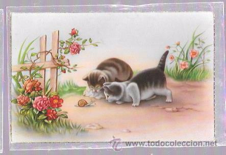 Postais: TARJETA POSTAL DE DOS GATITOS OBSERVANDO A UN CARACOL.