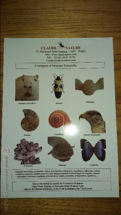 Postales: Postal de Claude Nature.(Paris) - Foto 1