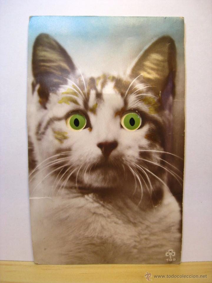 Postkarten: GATO DE OJOS MOVILES - ANTIGUA POSTAL ORIGINAL