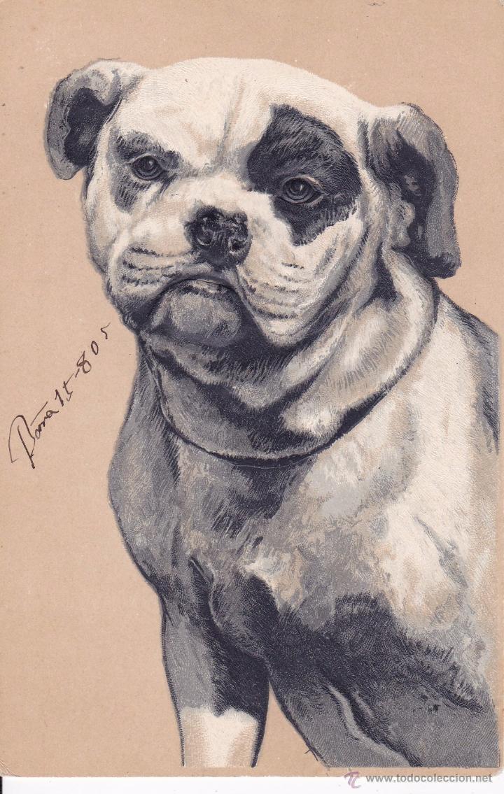 Cartes Postales: perro en relieve Levelezo lap. postkarte a&ntilde;o 1905