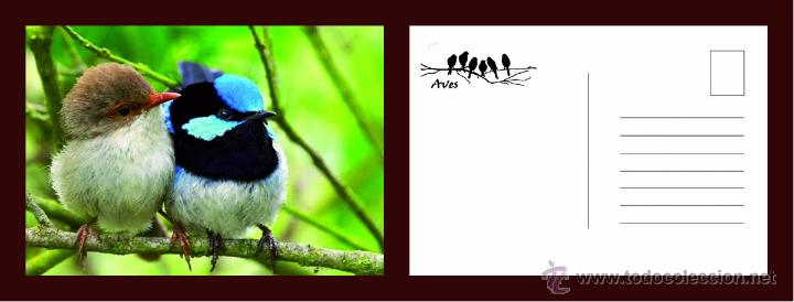 Postkarten: POSTAL DE AVES 2