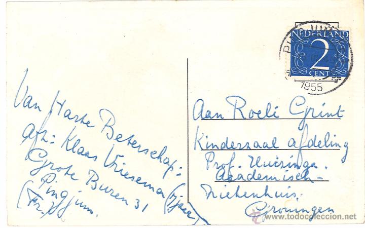 Postales: POSTAL CIRCULADA - 1955 - ANIMALES - DIBUJOS - Foto 2