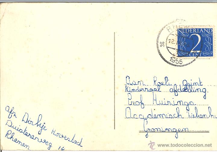 Postales: POSTAL CIRCULADA - 1955 - GATOS - PERRO - Foto 2