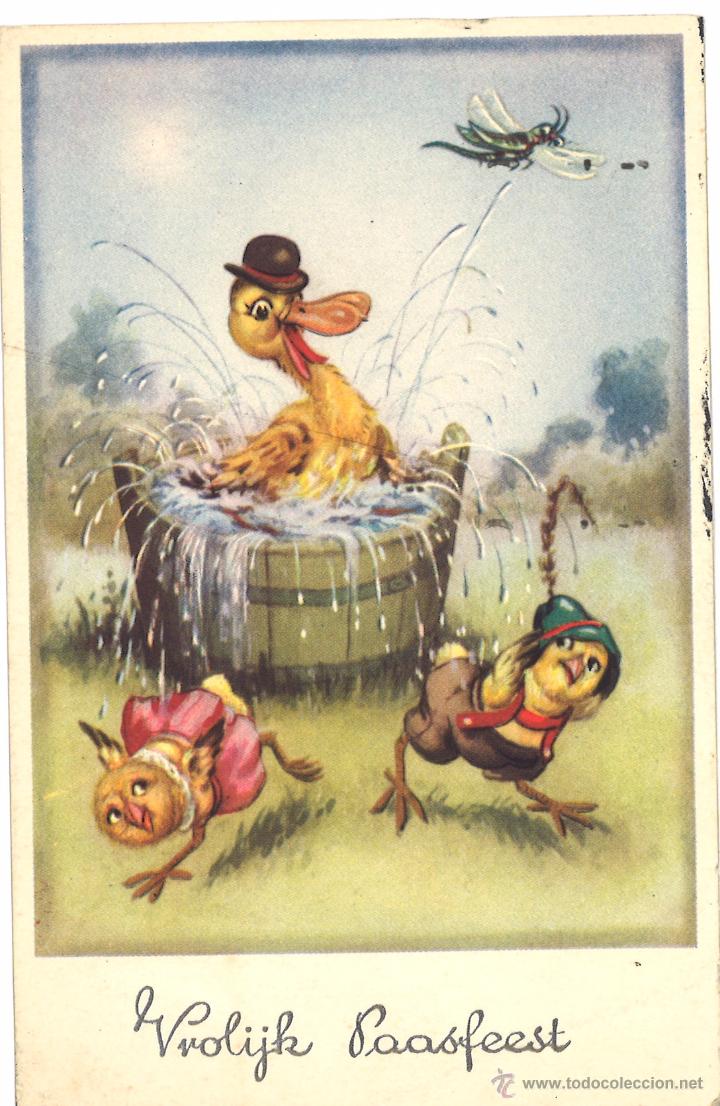 Postales: POSTAL CIRCULADA - 1955 - ANIMALES - Foto 1