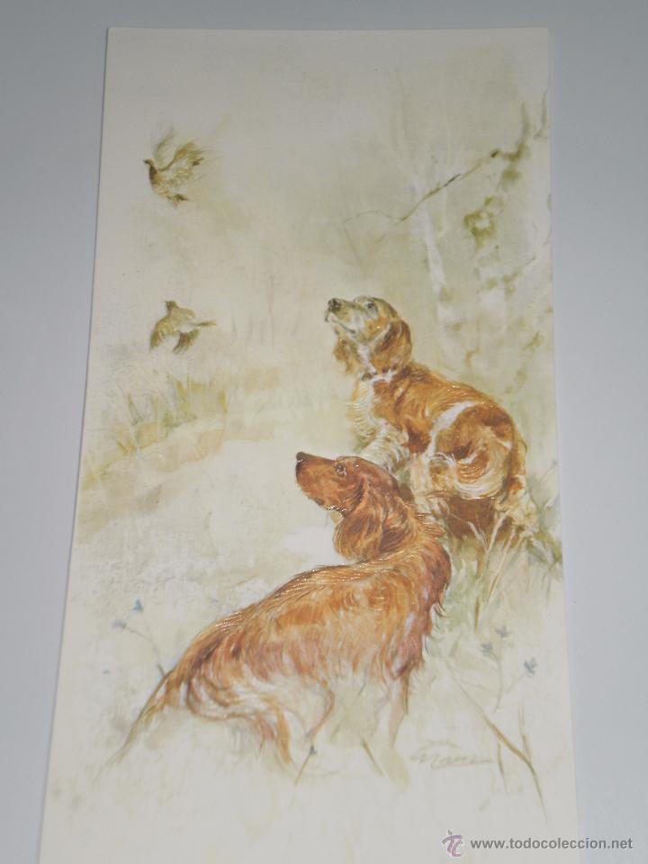 Postcards: POSTAL ANTIGUA , EDICIONES BUSQUETS . 21 x 10 cms .