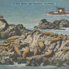Postales: LEONES MARINOS EN SEAL ROCKS DE SAN FRANCISCO, CALIFORNIA. POSTAL DE LOS AÑOS 50/60