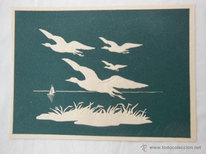 Postcards: Antigua Postal : BANDADA DE PATOS.