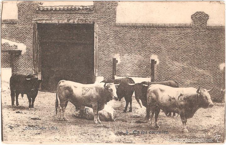 Postkarten: Colecci&oacute;n Lidia En los corrales