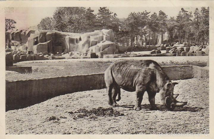 Postales: rinoceronte, circulada en 1920 - Foto 1