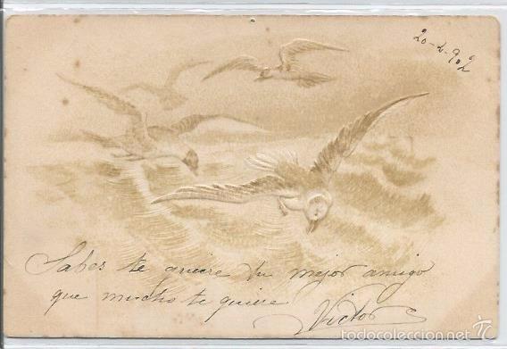 Cartes Postales: POSTAL AVES EN RELIEVE