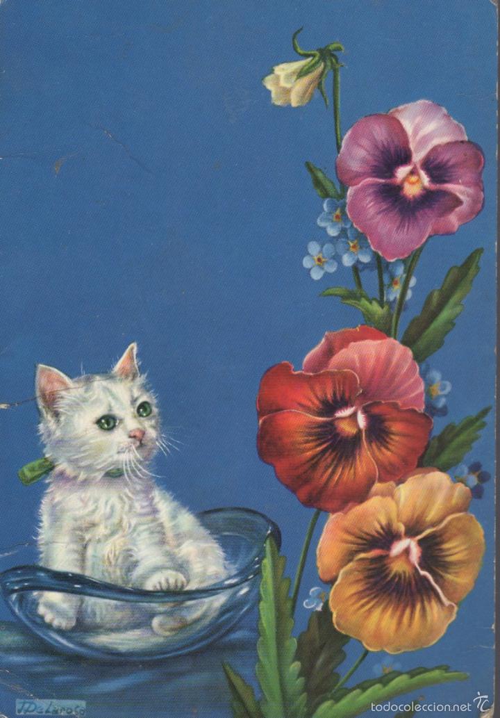 Cartes Postales: postal de gato con flores  - delarosa