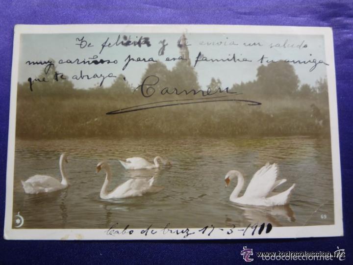 Postkarten: ANTIGUA POSTAL. CISNES. EN COLOR. CIRCULADA. 1910