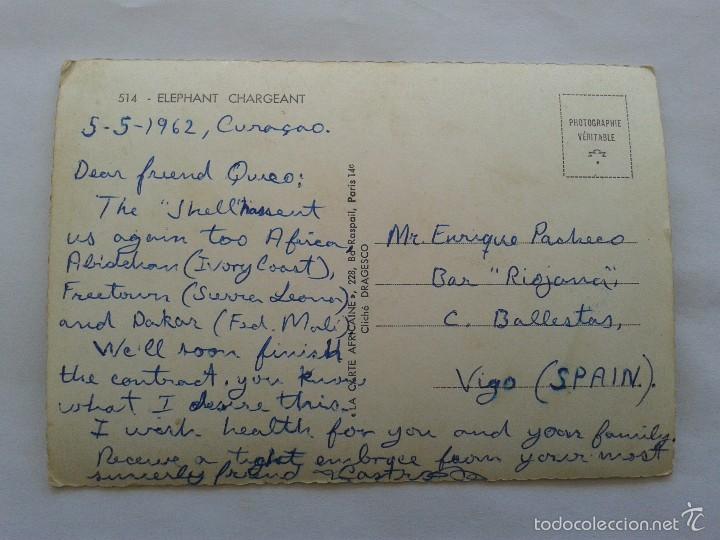 Postales: POSTAL -- ELEPHANT CHARGEANT -- USADA -- - Foto 2
