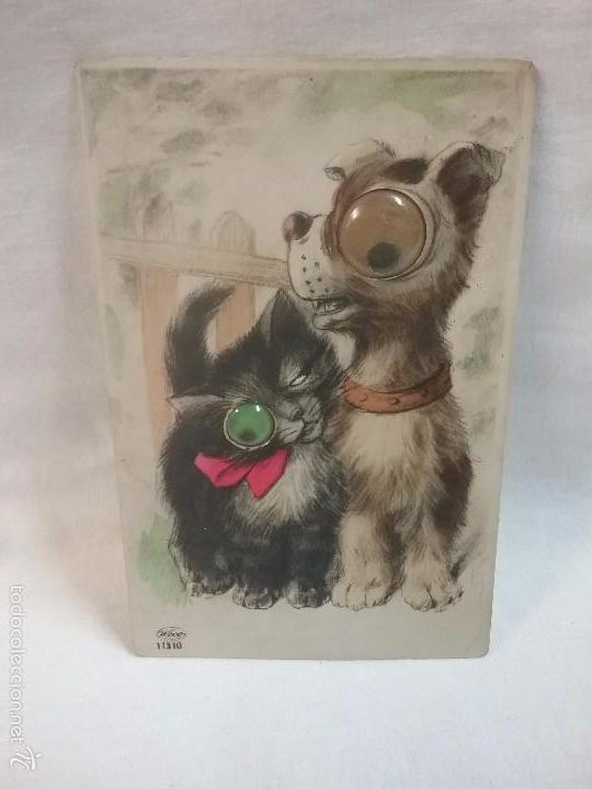 Cartes Postales: ANTIGUA POSTAL DE ANIMALES A&Ntilde;OS 50