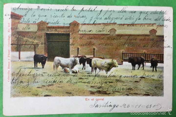 Postcards: Antigua postal de Toros - En el corral - Romo y F&uuml;ssel N&deg; 810 - Reverso sin dividir