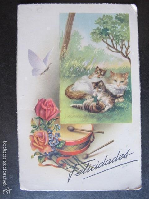 Cartes Postales: postal felicitacion gatos escrita