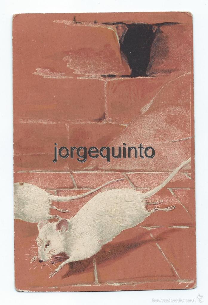 Cartoline: POSTAL. HACIA 1900-1920. RATONES BLANCOS. TROQUELADA, CON RELIEVES.