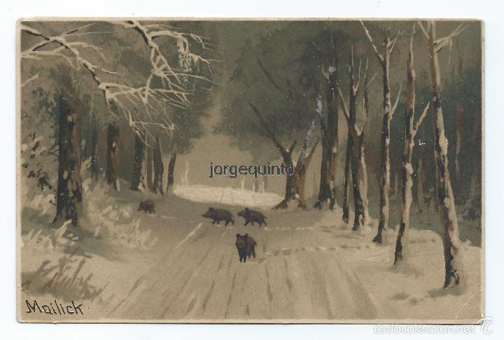 Cartoline: POSTAL. HACIA 1900-1920. UNOS JABAL&Iacute;ES CRUZAN UN CAMINO EN EL BOSQUE NEVADO.