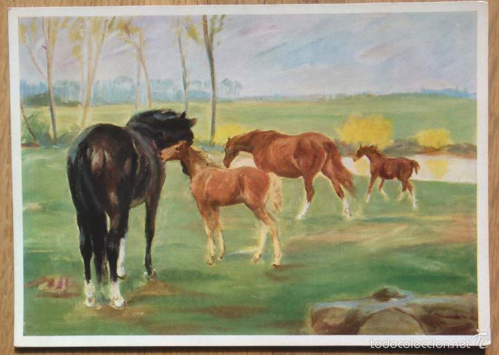 Cartes Postales: CABALLOS - PINTURA DE HEINZ D&Uuml;LLBERG