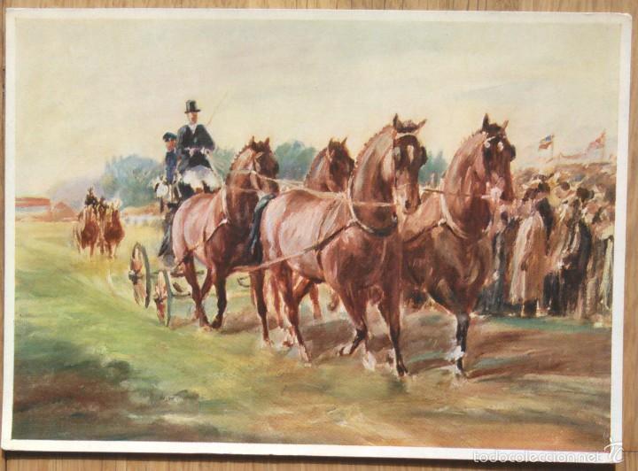 Cartes Postales: CABALLOS - PINTURA DE HEINZ D&Uuml;LLBERG