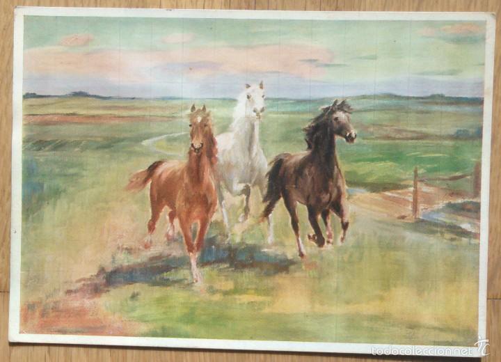 Postais: CABALLOS - PINTURA DE HEINZ D&Uuml;LLBERG
