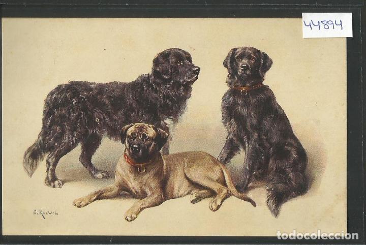 Postais: PERROS - POSTAL ANTIGUA - VER REVERSO - (44.894)