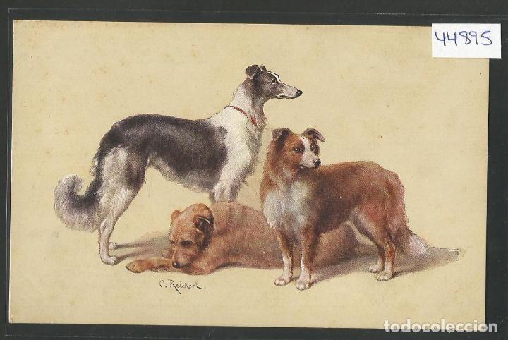 Postais: PERROS - POSTAL ANTIGUA - VER REVERSO - (44.895)