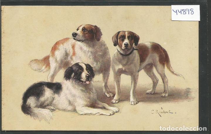 Postais: PERROS - POSTAL ANTIGUA - VER REVERSO - (44.898)