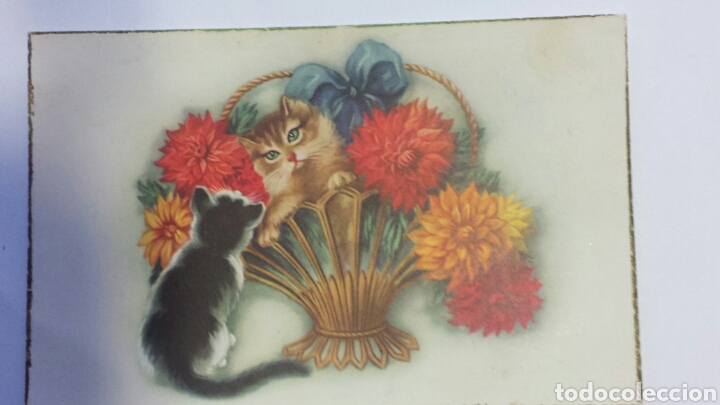 Postais: Preciosa y antigua postal Gatitos en cesta con flores