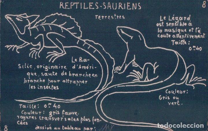 Postais: POSTAL ANTIGUA DE REPTILES -SAURIENS N&deg;9