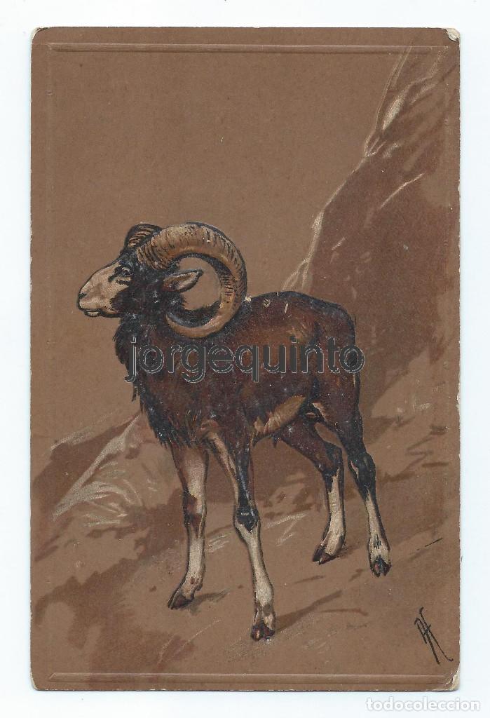 Cartes Postales: POSTAL. HACIA 1900-1920. MUFL&Oacute;N. TROQUELADA, CON RELIEVES.
