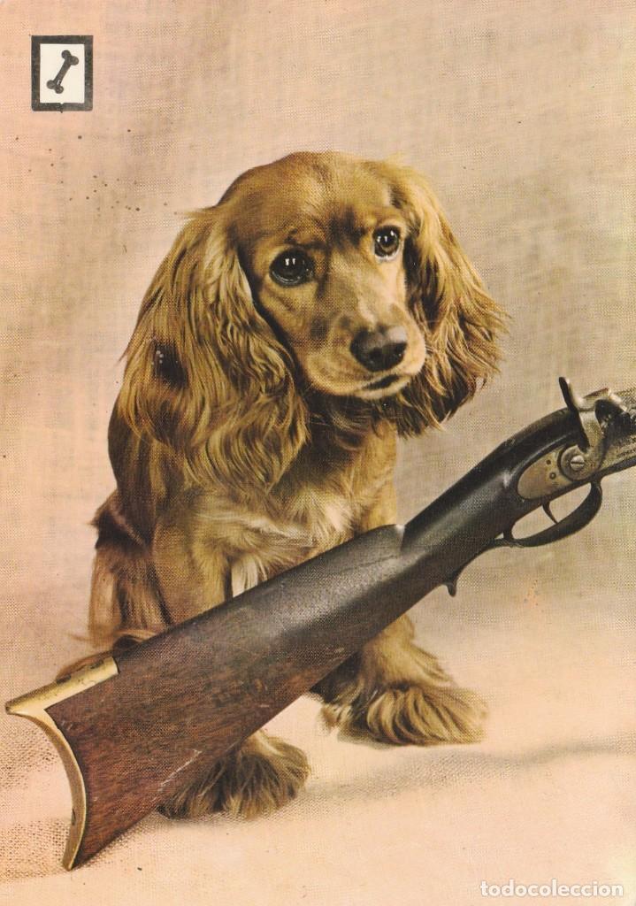 Cartes Postales: POSTAL PERRO / PERROS - CAZA ESCOPETA - ANIMALES DOMESTICOS - N&ordm; 1 - ESCUDO ORO - A&Ntilde;O 1967 - NUEVA