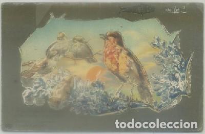 Cartes Postales: POSTAL DE ANIMALES. PAJARITOS   P-ANI-038