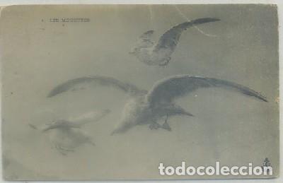 Cartes Postales: POSTAL DE ANIMALES. LES MOUETTES   P-ANI-049