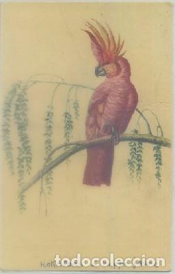 Cartes Postales: POSTAL DE ANIMALES. KAKATOES O HUPPE JAUNE   P-ANI-057