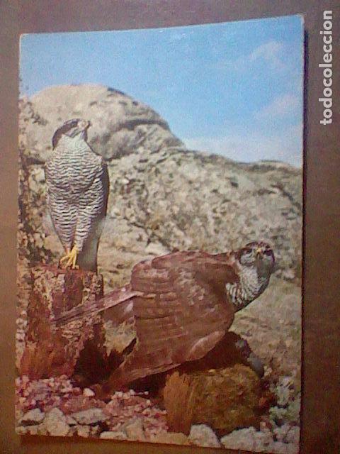 Cartes Postales: azor museo ciencias nacionales s/c s/n&ordm; 1976