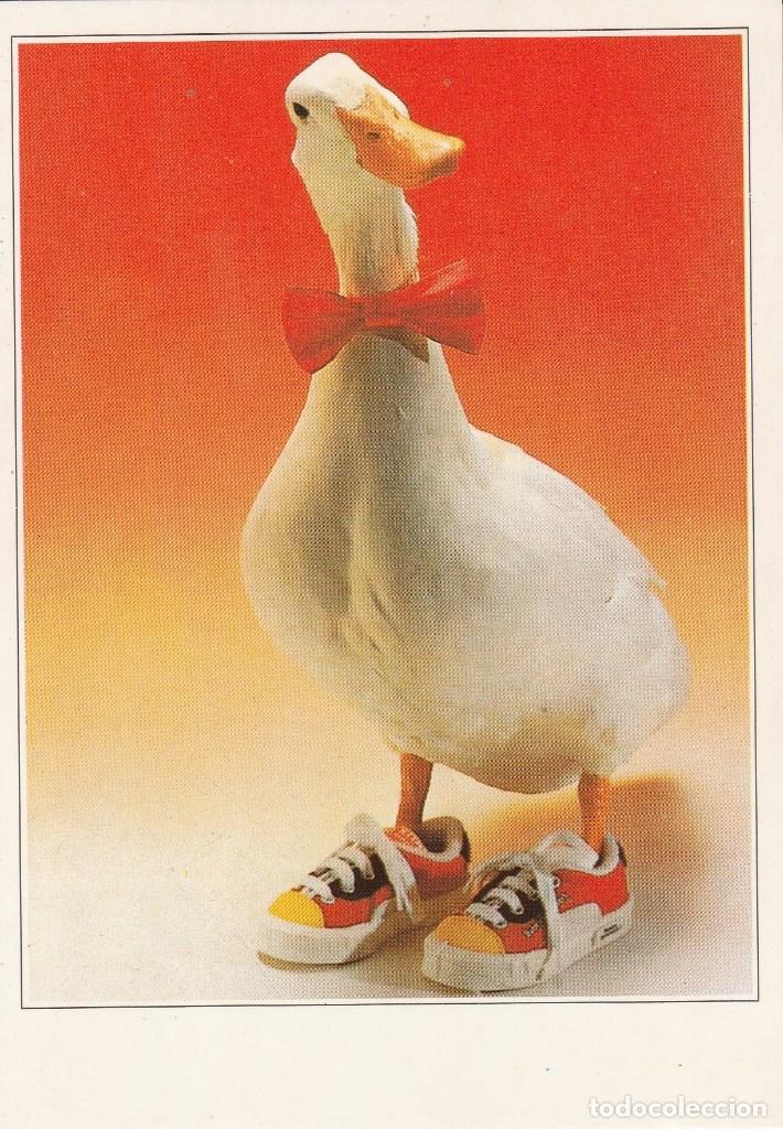Postales: N&ordm; 28356 POSTAL PATO - Foto 1