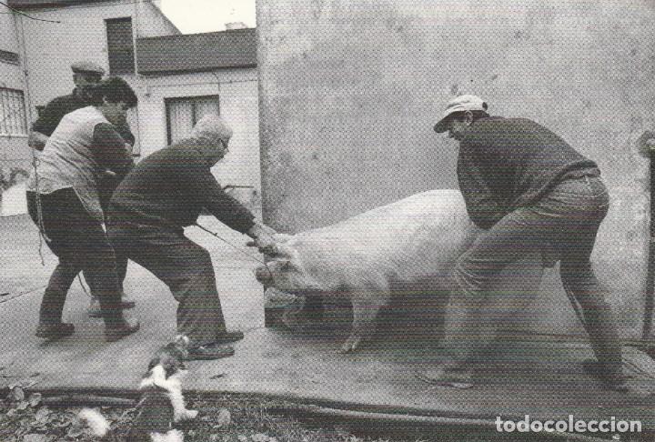 Postales: N&ordm; 28376 POSTAL LA MATANZA MICHAEL BRY