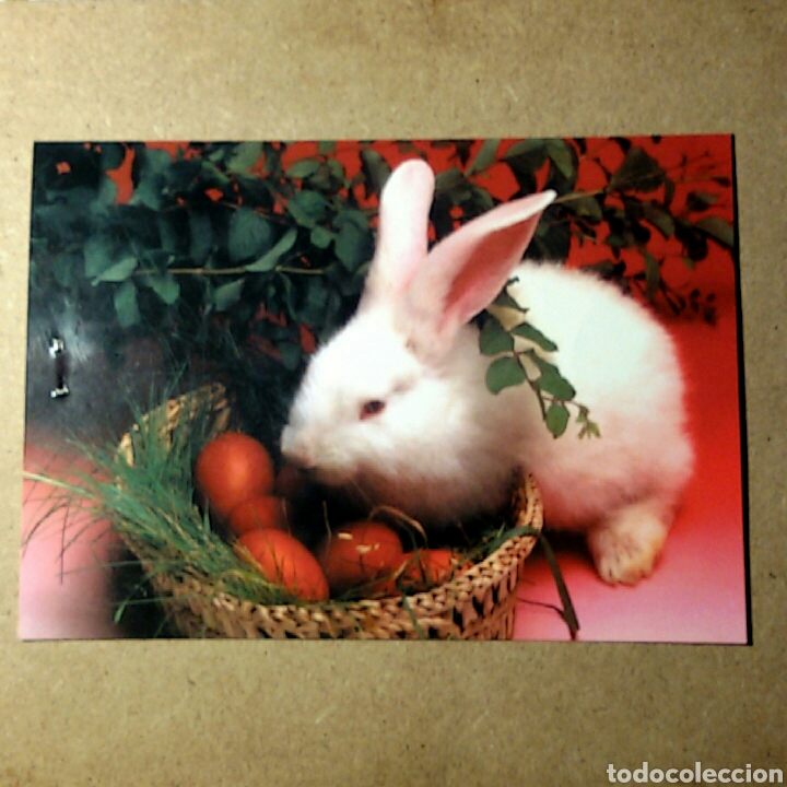 Cartes Postales: Tarjeta postal escrita - HIPARION