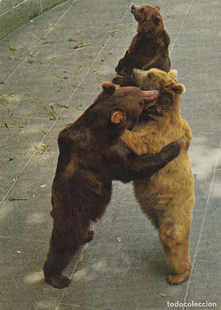 Postales: N&ordm; 29314 POSTAL OSOS - Foto 1