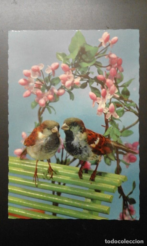 Postales: 1 POSTAL DE ** P&Aacute;JAROS Y FLORES ... ** G. PICARD PARIS - SIN USAR - LA ROSE 263