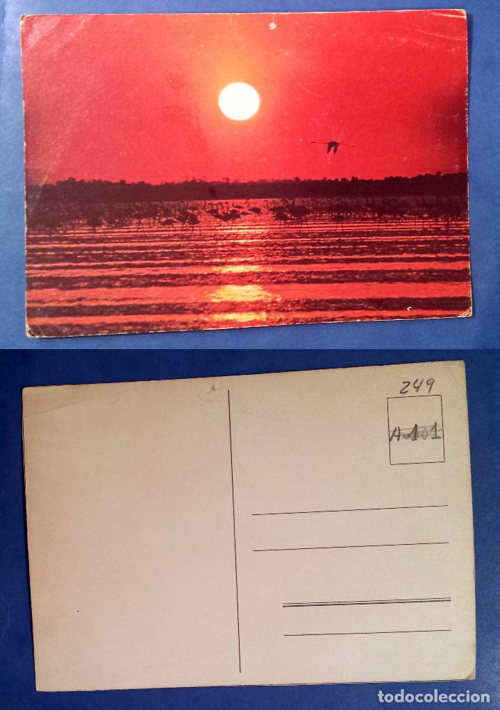 Postales: AVES AL ATARDECER - Postcard