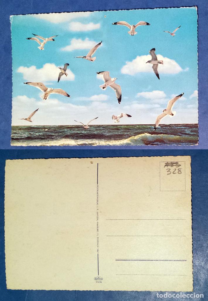 Postales: GAVIOTAS - MOUETTES - GULLS - Postcard - Foto 1
