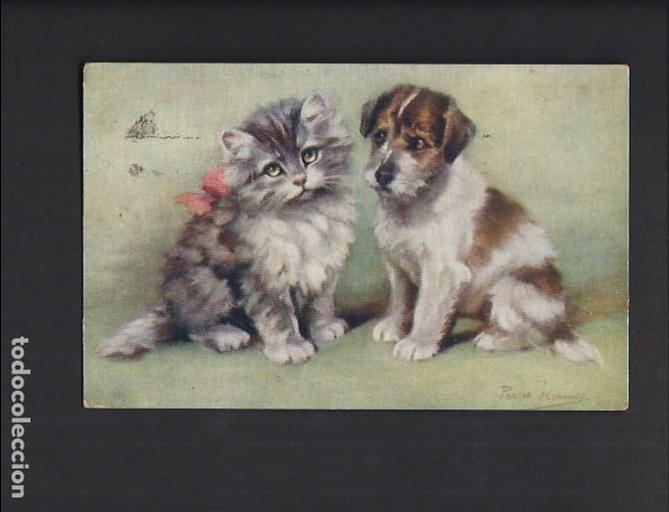 Postales: Postal circulada 1932 . Perro y Gato