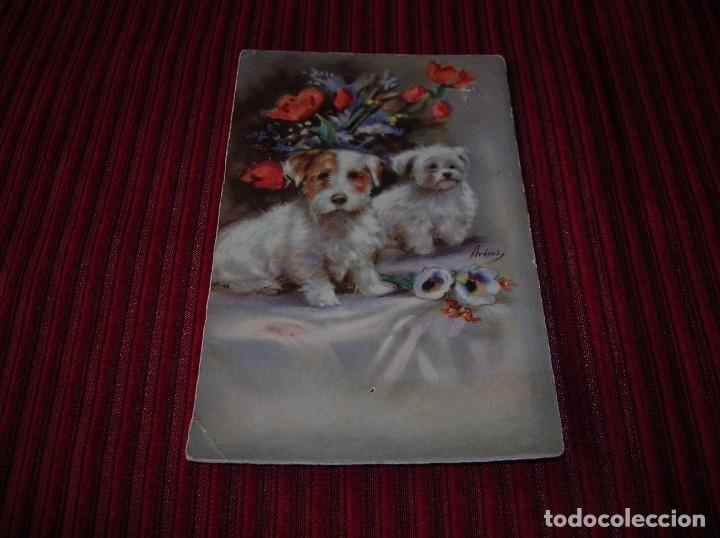 Postales: Antigua postal de perritos.A&ntilde;o 1933 - Foto 1