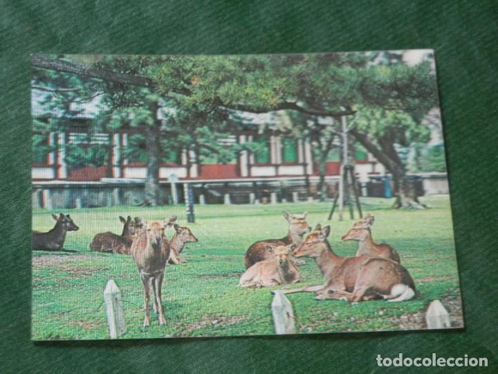 Postcards: POSTAL TRIDIMENSIONAL ANIMALES - BAMBIS