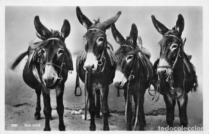 Postcards: NOS AMIS