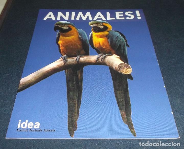 Postcards: postal de dos loros sin circular